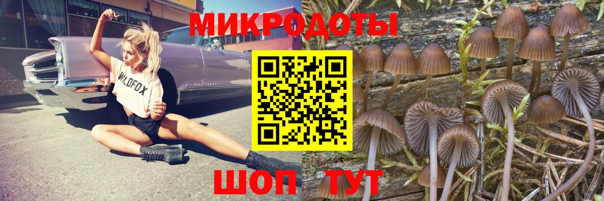 Псилоцибиновые грибы Psilocybe  Вход с VPN  Солнечногорск 